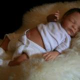 Reborn Baby ~ Partrick for Neighbours TV series~ ADOPTED/SOLD