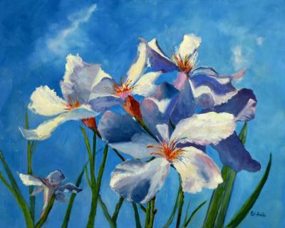white flowers blue sky - 