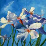 white flowers blue sky - 