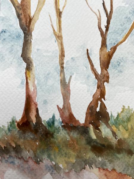 Tree trunks