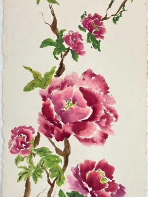 Peony Blooms (art 24 x12, unframed) Peony Blooms (art 24 x12, unframed)