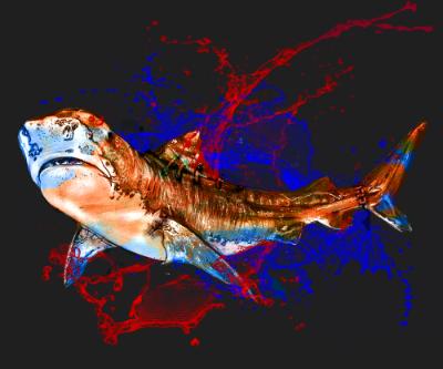 Blood in the water - Tiger Shark Dark Blood in the water - Tiger Shark Dark