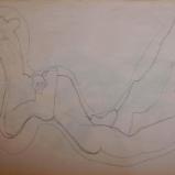 U27 Embryonic Sketch