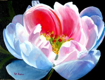 PINK & WHITE PEONY - OIL - 20X24