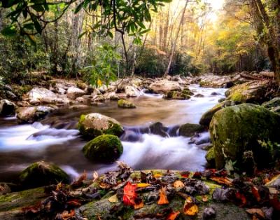 The First Signs of Fall in East Tennessee The First Signs of Fall in East Tennessee