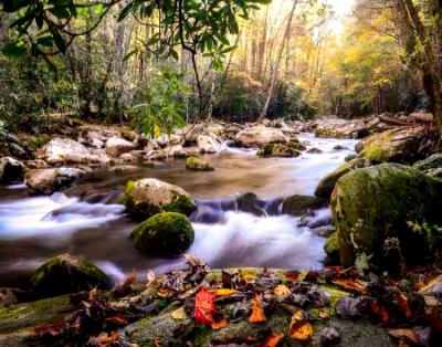 The First Signs of Fall in East Tennessee