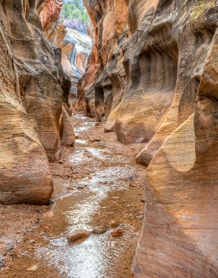 Willis Creek Canyon Willis Creek Canyon
