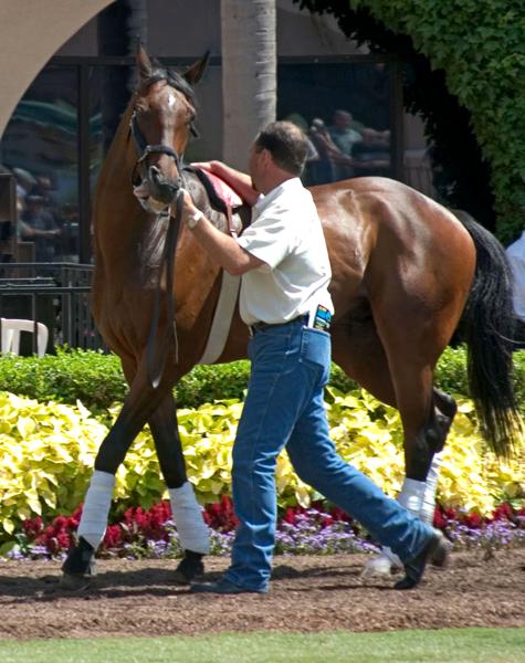 Thoroughbred and Trainer Dana Levine
