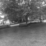 Photographs Photographs