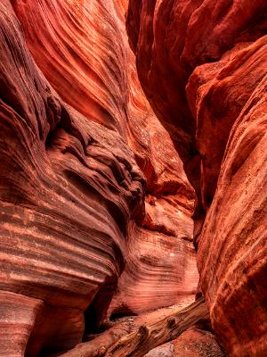 Red Canyon Driftwood Swirls Red Canyon Driftwood Swirls