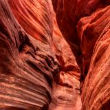 Red Canyon Driftwood Swirls