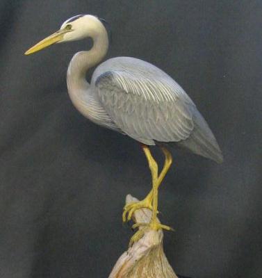 Miniature Great Blue Heron - sold
