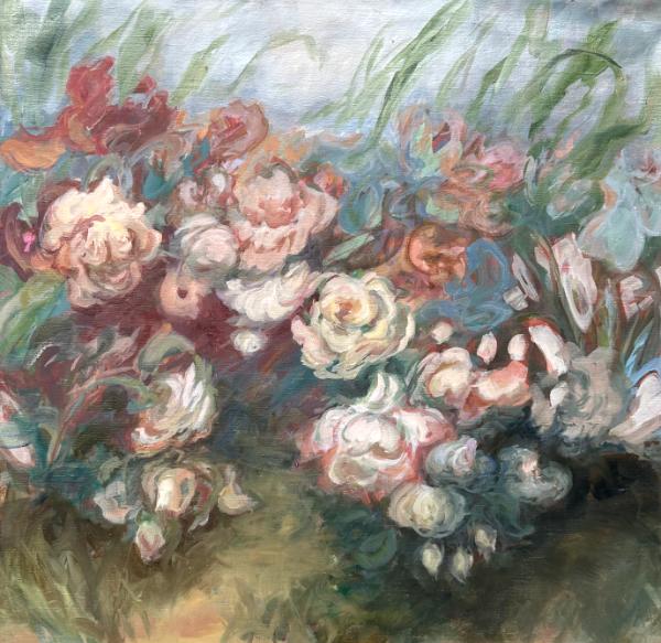 Peter Possum’s Path