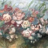 Peter Possum’s Path