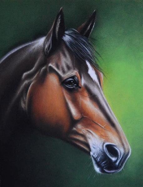 The equine beauty, 38cm x 28cm, 2020