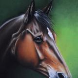 The equine beauty, 38cm x 28cm, 2020