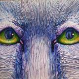 katnaj Artworks    *Colors in Harmony*   Earth,  Life,  Nature