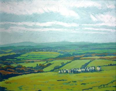 View from the moor to Tavistock