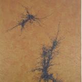 Zephyr Series No. 41