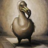 The Last Dodo