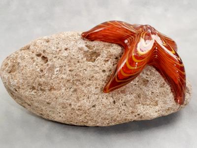#09162507 Starfish on rock Orange 4.25''HX8.5''WX5.25''D $150.00 #09162507 Starfish on rock Orange 4.25''HX8.5''WX5.25''D $150.00
