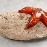 #09162507 Starfish on rock Orange 4.25''HX8.5''WX5.25''D $150.00
