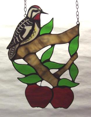 Sapsucker in Apple Tree Sapsucker in Apple Tree