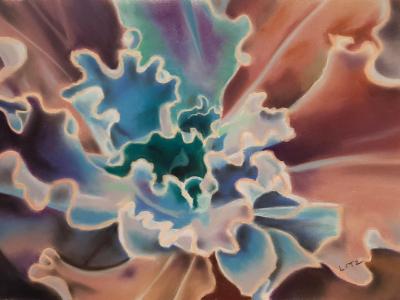 "Blue Curls" "Blue Curls"