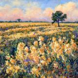 Fields of Radiant Gold