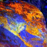 Gold Fever - The Gold Within 