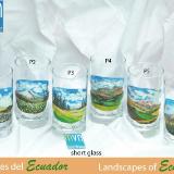 Set of handpainted glasses: LANDSCAPES OF ECUADOR