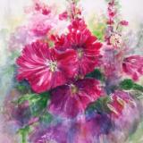 Madam Hollyhock 