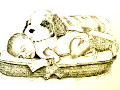 Basket Baby Basket Baby