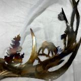Elk Horn Sculpture 