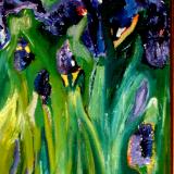 iris in branscomb
