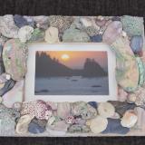Abalone and shells frame