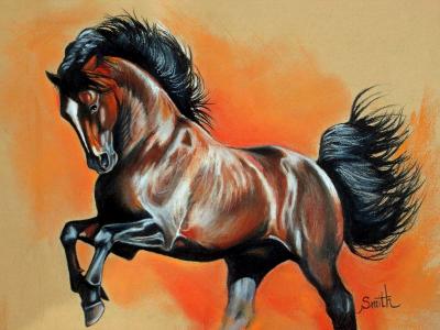 Bay Stallion Bay Stallion
