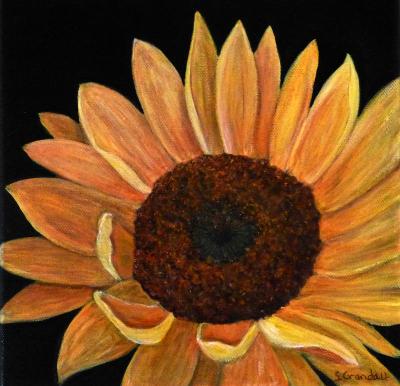 The Sun's Flower - Steve's Garden Series