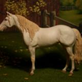Perlino -Bay Dilute (Breyer customised Re-make) AVAILABLE