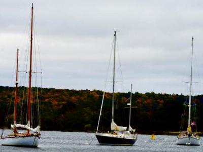 masts in autumn