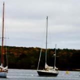 masts in autumn