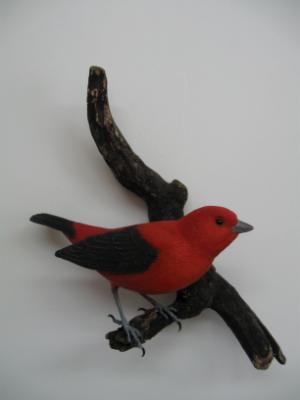 Scarlet Tanager #1