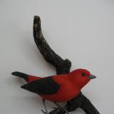 Scarlet Tanager #1