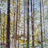 Robert Brown                      watercolours
