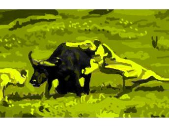 In The Bush In The Bush