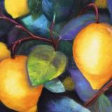 Shea's Lemons