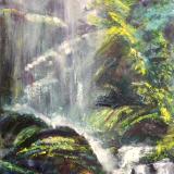 Rainforest Falls in North Carolina
