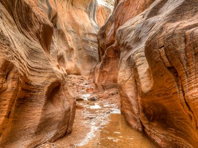 Willis Creek Slot Canyon Willis Creek Slot Canyon