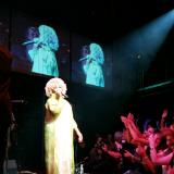 Celia Cruz, Billboard Live