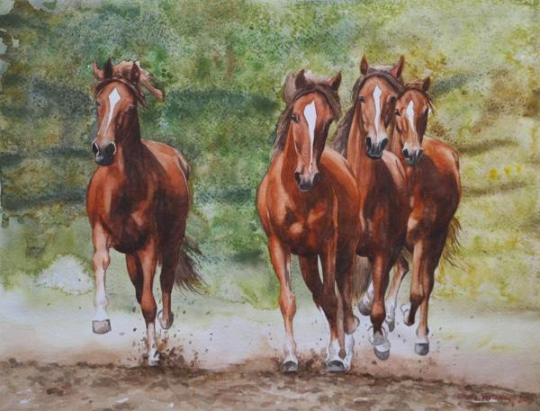 Herd of young horses, 35cm x 50cm, 2014